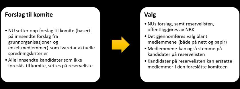 Billedkunstnernes stipendkomite består av 10 medlemmer, som er valgt av NBKs medlemmer. Det er viktig allerede her å påpeke at medlemskap i NBK ikke er noen forutsetning for å sitte i komiteen.