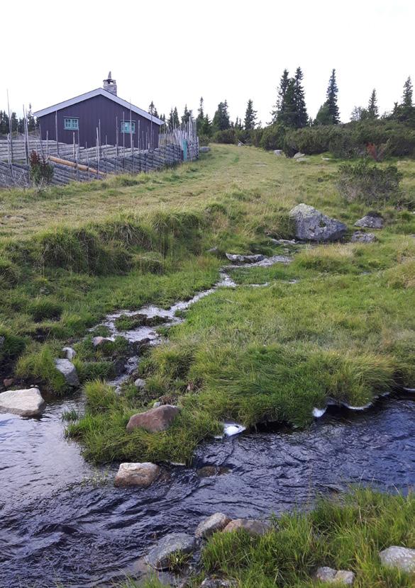 Vannposter Av: Vidar Sølvsberg Gamle vannposter Det beste drikkevannet kommer fra jordens indre, filtrert rent etter naturens egne prinsipper.