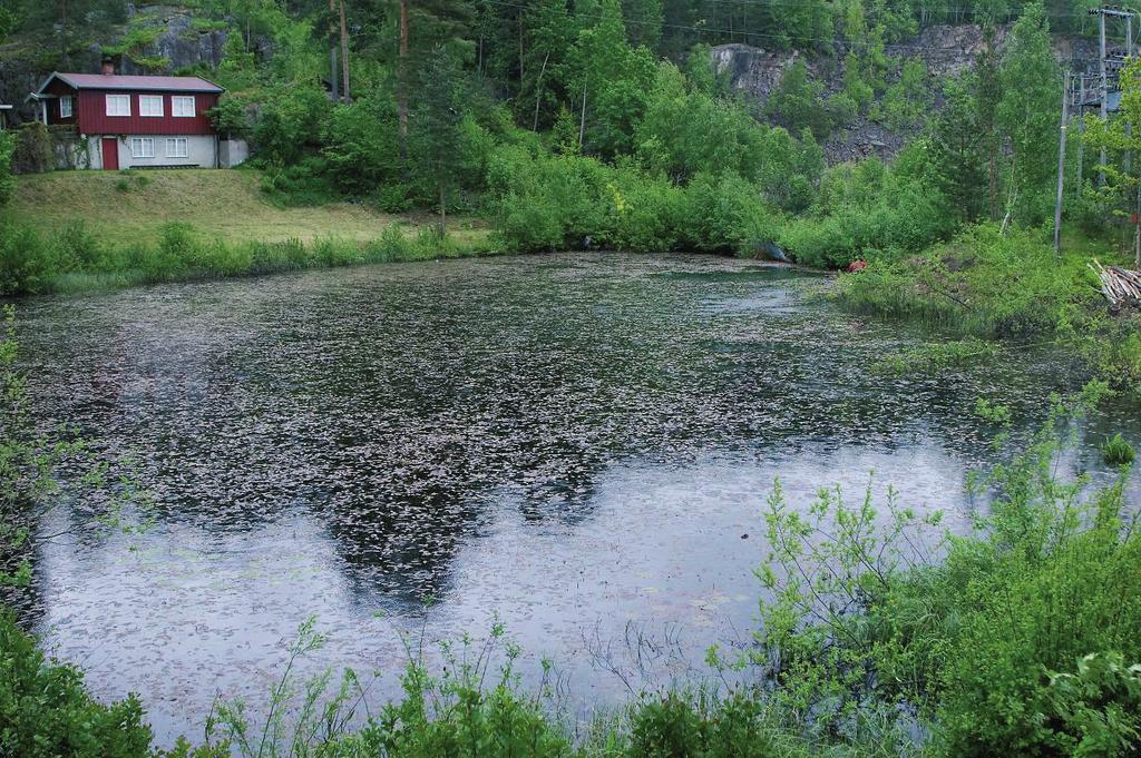 Forord Kvistemyrdammen ble vernet som dyrefredningsområde ved kongelig resolusjon 27. juni 2008 som en del av verneplanen for Indre Oslofjord.