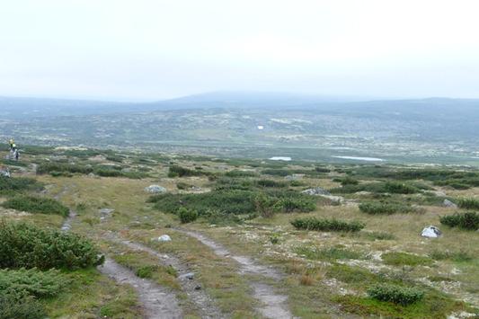 Nasjonale ordninger for lokale data Naturbase - lokalt sikrede