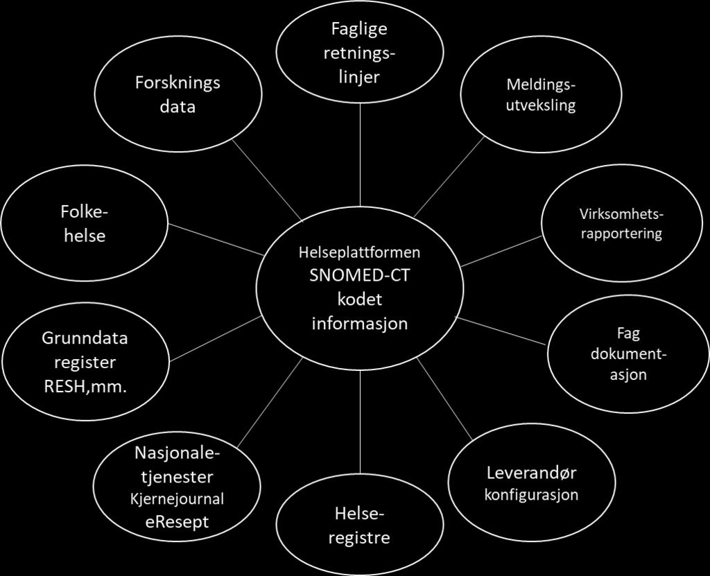 terminologien på det internasjonale