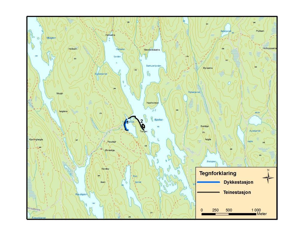 5.2 Børtervann Fysiske, kjemiske og biologiske forhold Av fiskearter finnes ørret, røye, abbor, mort og ørekyt (VannInfo 5.0). Vannkvaliteten for edelkreps er relativt god.