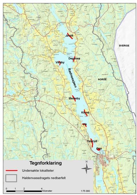 Figur 5.23.1. Kart over Rødnessjøen med prøvefiskestasjoner. Dykkestasjonen ligger ved Jovall. Historiske data om edelkrepsbestanden Det fantes edelkreps i Rødnessjøen før 1918 (Huitfeldt-Kaas 1918).