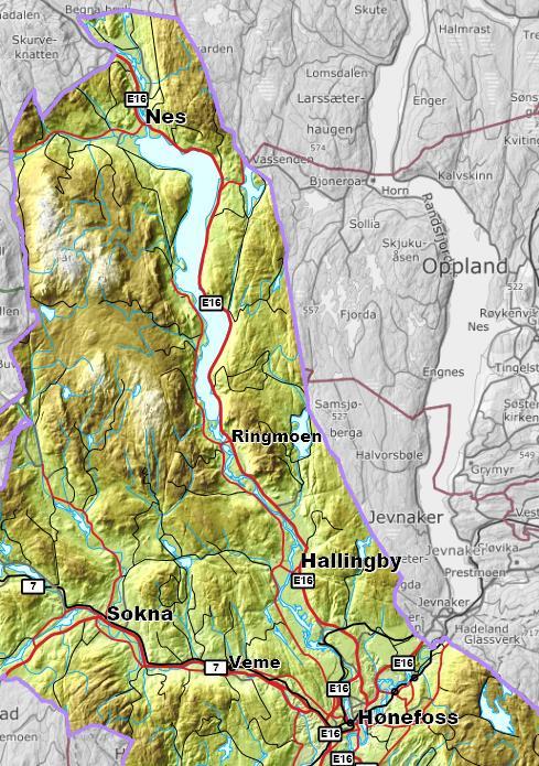 1 Innledning Bakgrunn Kommunestyret vedtok 31.01.