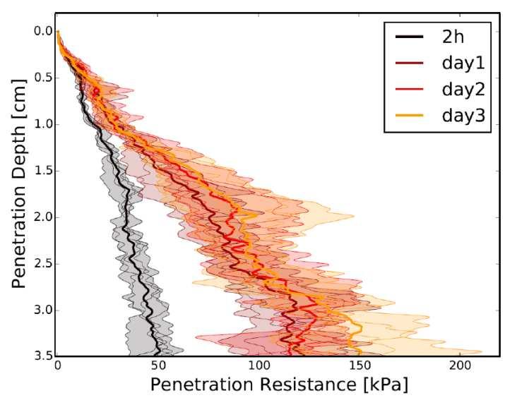 DEM model Validation of DEM