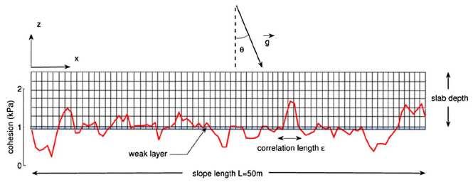 Spatial heterogeneity 14 FEM model with random distribution of WL strength Strong interplay between heterogeneity and elastic