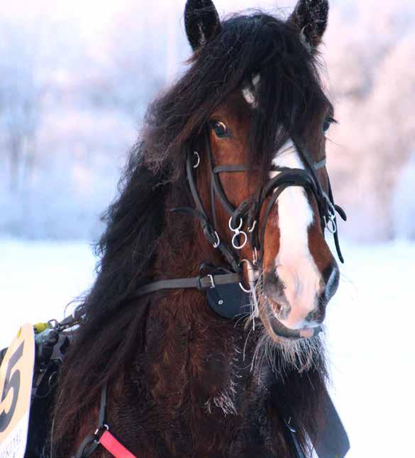 LØRDAG 27. januar 2018 kl.14.