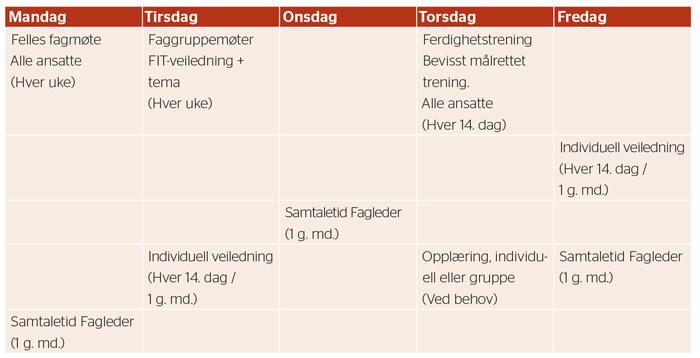 Opplæring: Hver nyansatt får tildelt en FIT-veileder som har ansvar for opplæring og veiledning.