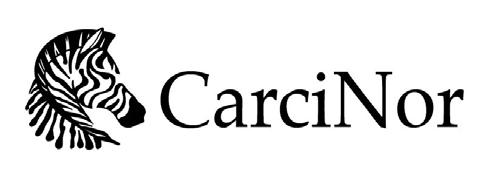 4. Søknad om tildeling av midler Aktuelle søkere retter søknad til CarciNors hovedstyre. Søknaden skal inneholde problemstilling, fremdriftsplan og budsjett for sin bruk av støtten.