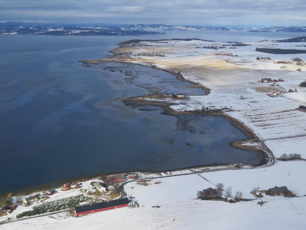 Enkel besøksstrategi for 8 fuglefredningsområder i Trondheimsfjorden våtmarkssystem Fylkesmannen i Trøndelag 1.