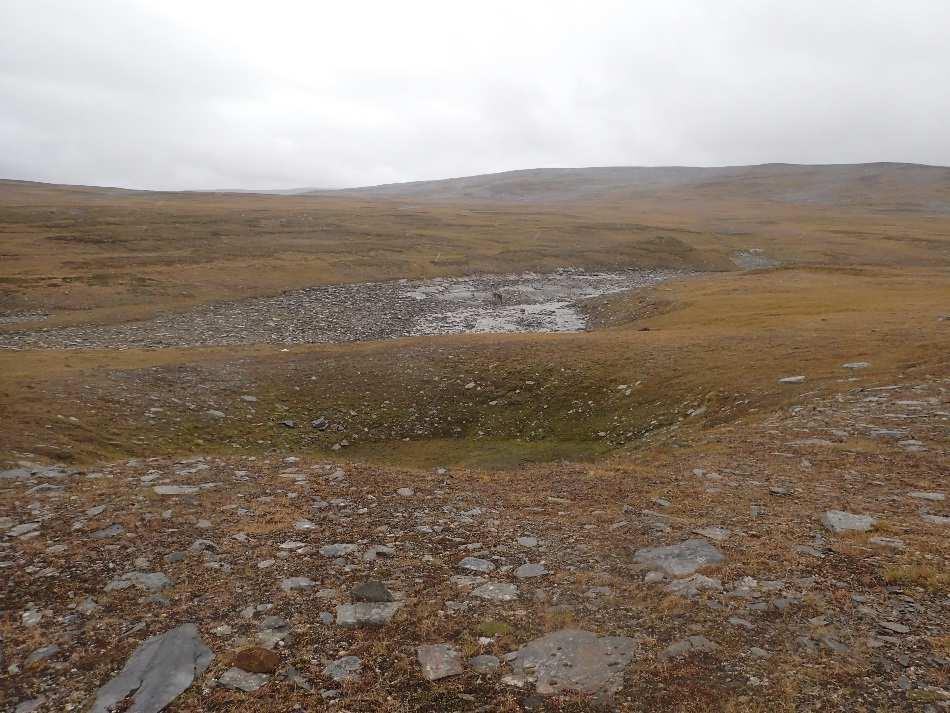 Stor løsmassedoline like bakenfor nedløpene til Jordbruelva. Diameter om lag 30 m og dyp 4-6 m. Foto: RØ Skoglund.