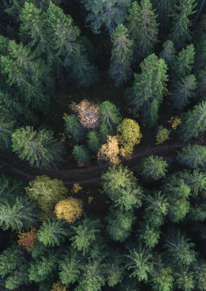 /12 Natur, naturmangfold, grønnstrukturer og friluftsliv 12.1 Natur og naturmangfold Naturen skal forvaltes slik at planter og dyr som finnes naturlig sikres i levedyktige bestander.