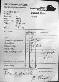 litet og spesielt på mellomstor rase med Belgisk Hare og Hvit Land som utmerket seg. Kjell Carnbrand og Peter Landberg vant med en Belgisk Hare som fikk hele 96,5 p.