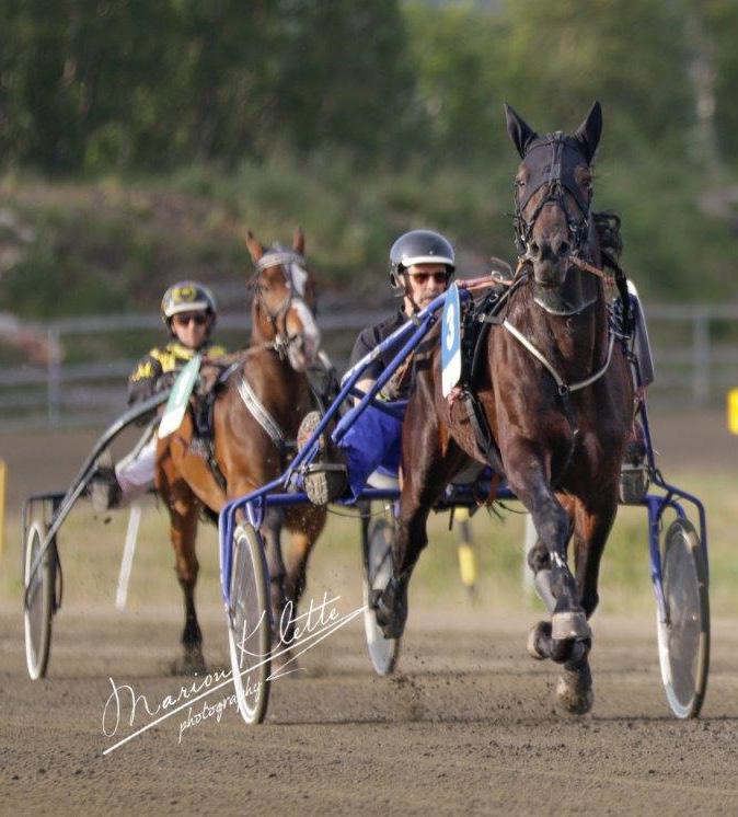 Nr. 4 2019 www.harstadtravpark.no LØRDAG 23.