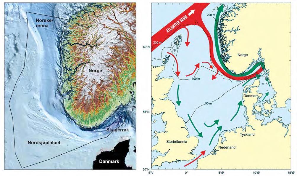 4 Naturressurser og miljøforhold Helhetlig forvaltningsplan for Nordsjøen og Skagerak fra 2013 (19) og Regional konsekvensutredning for Norske havet (18) inneholder en omfattende dokumentasjon av