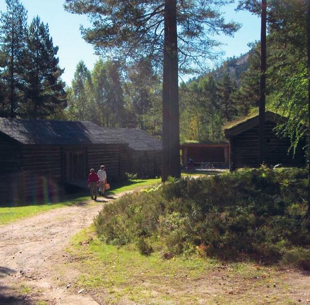 TILDELING AV HELSE OG OMSORGSTJENESTER LOVGRUNNLAG Ansatte i helse og omsorgstjenesten er forpliktet til å yte tjenester i tråd med lover, forskrifter, verdigrunnlag og vedtatte normer.