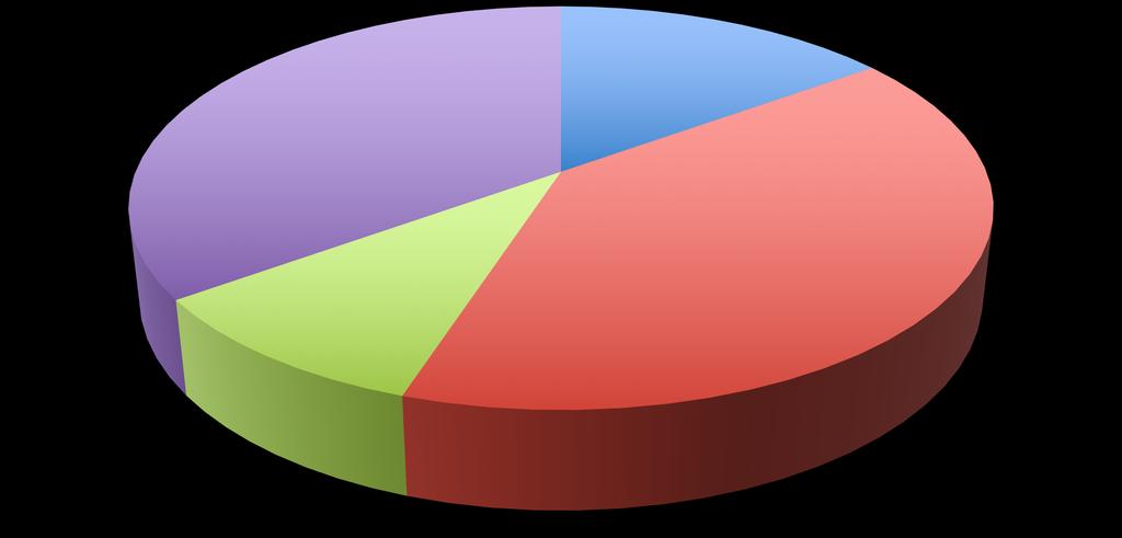 Prosjekt Software 35 % Prosess 15