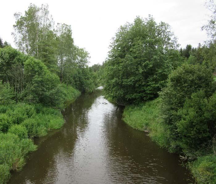 Treplanting langs vann i jordbruksområde Overlevelse av trær og grunneiers erfaringer. Våler kommune i Østfold (Vannområde Morsa). NIBIO RAPPORT VOL. 4 NR.