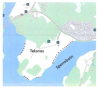 3.4.5 Teksnes langs Vansjø (bilder fra 2017) På Teksnes ble det plantet trerekker med bl.a. svartor i 2002.