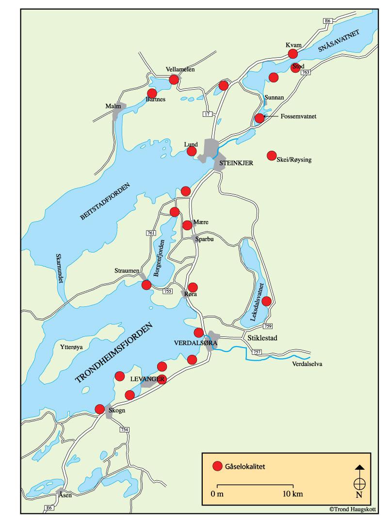 NINA Rapport 118 Figur 7 Oversiktskart som viser de viktigste lokalitetene (raste- og beiteplasser) for kortnebbgjess i Innherred, Nord-Trøndelag, våren 2005.