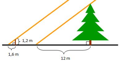 Oppgave 5 (7 poeng) Et tre står på en horisontal slette. Ved et gitt tidspunkt kaster solen en 1 m lang skygge bak treet. En pinne som er 1, m lang, har ved samme tidspunkt en 1,6 m lang skygge.