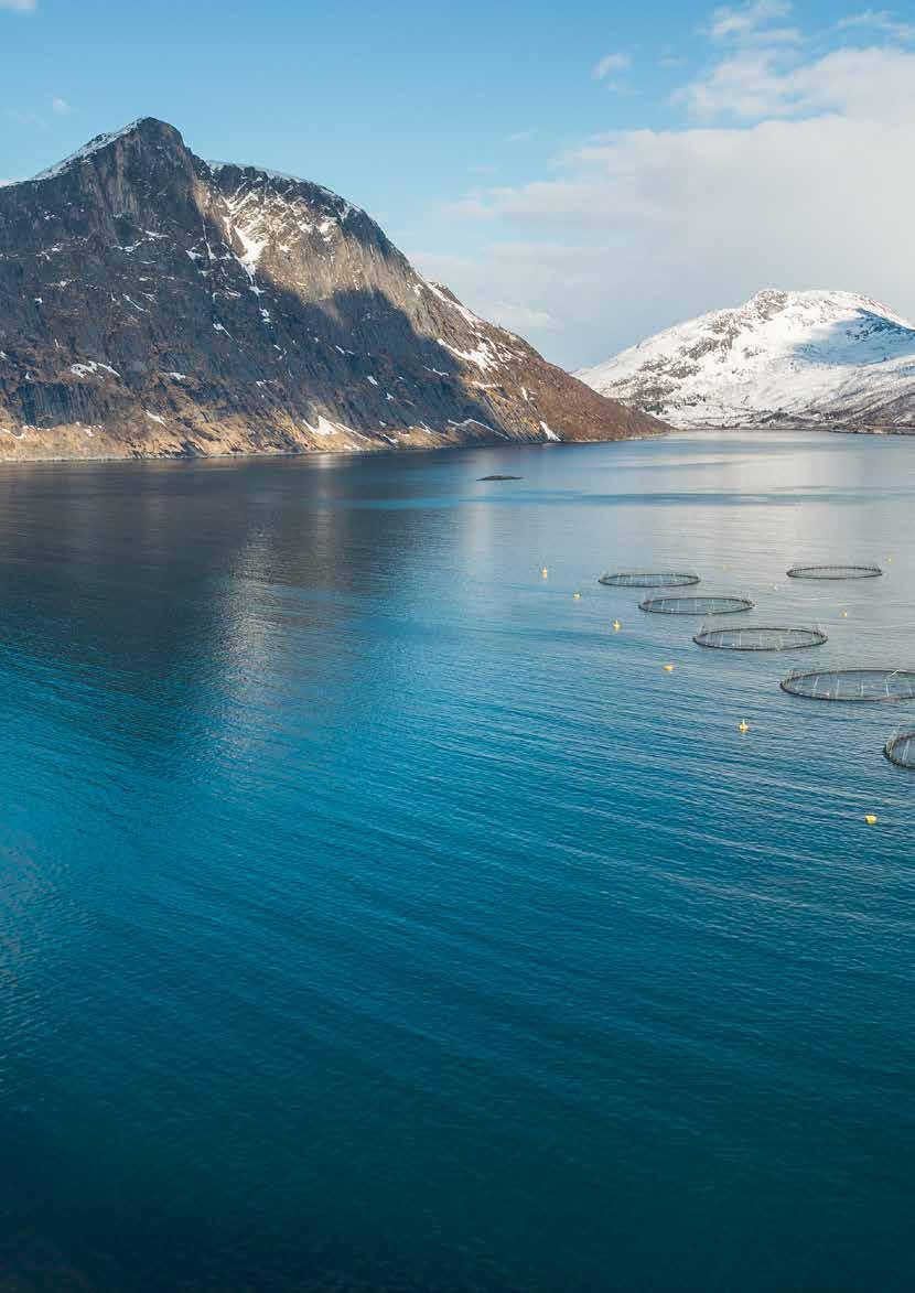 Lokalitet Indre Bringenes i Mefjorden på Senja. Senjas høyeste fjell i bakgrunnen Breitinden, 1000m.