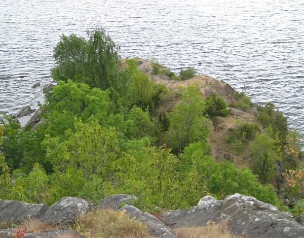 4.3.5 Sone 5 - Rikt kantkratt og urterik kant på sydspissen av Ørstethalvøya Beskrivelse Området utgjøres av den markerte sydspissen av Ørstvethalvøya.