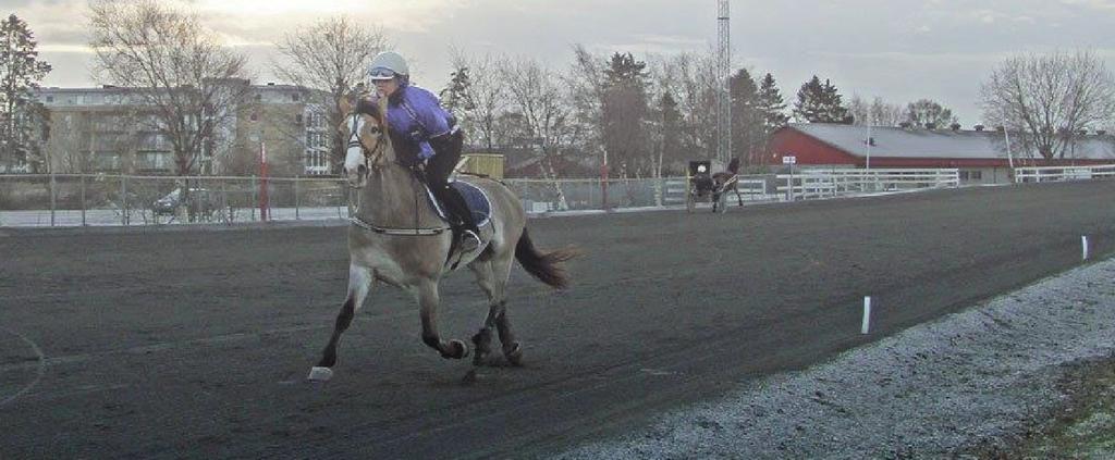 no under reglement Deltager må selv stille med hest og godkjent utstyr. Påmelding sendes til lisakristin.johannessen@rikstoto.