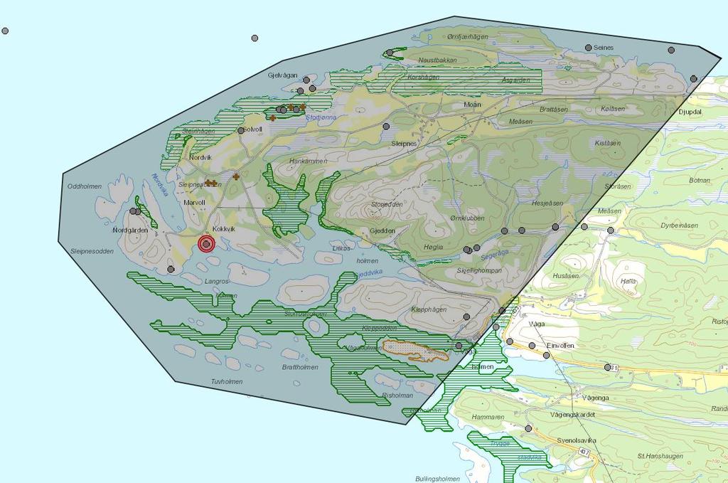Forslag til vern, nye områder: Strandlinje fra Vågaholmen, rundt Sleipnesodden til og med Djupvika.