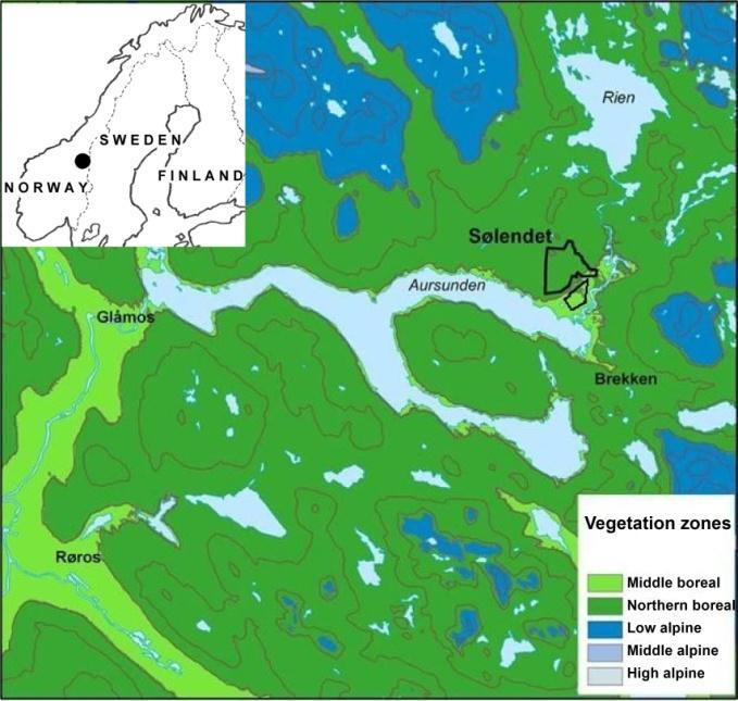 When the nature reserve was established in 1974, this area had been abandoned for a relatively short period compared to other sites.