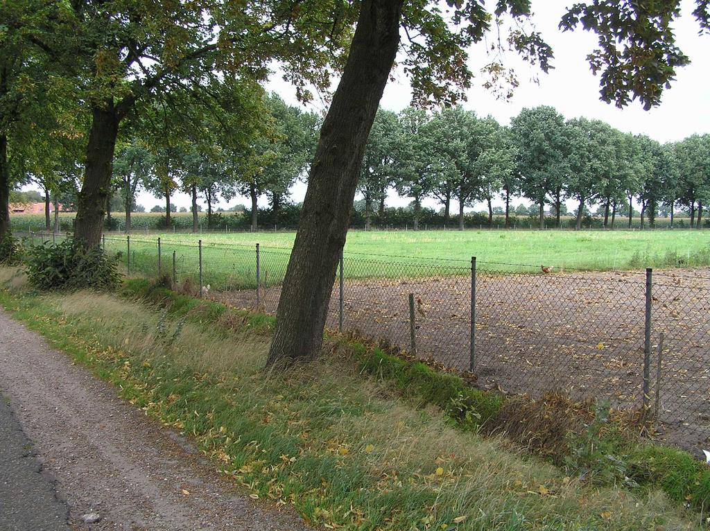 Omdat het plangebied door de Gemeente Boekel en de provincie NoordBrabant is aangeduid als een kernrandzone, is het mogelijk gebruik te maken van de BiO-regeling (zoals opgenomen in de Nota BiO) op