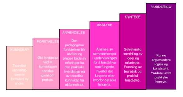 Hvis den nyutdannede i for stor grad viser sine teoretiske kunnskaper og begrunner endringer i teori, møter den nyutdannede motstand Nyutdannedes teoretiske kompetanse blir i liten grad etterspurt på