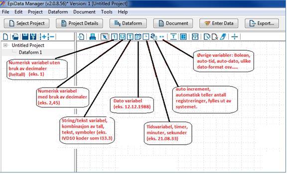 Valg av type variabler og bruk av skjema-design vindu Klikk på «type» variabel (se bildet under som forklarer hvilke variabler som finnes) og deretter klikk hvor som helst