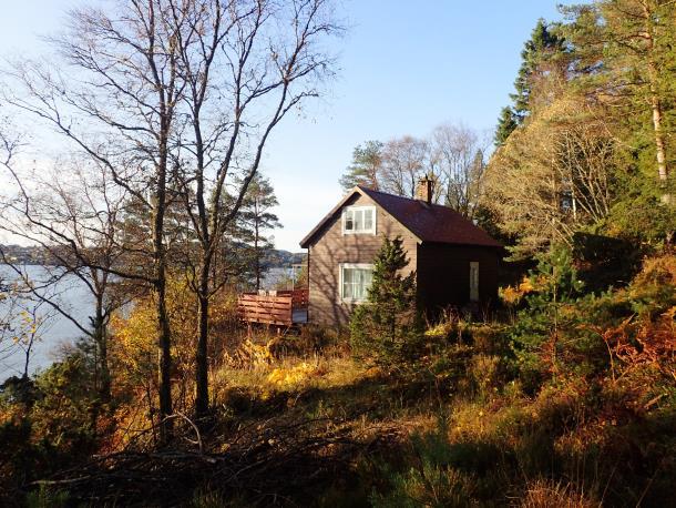 Røsslyng-blokkebærfuruskog (A3) er utbredt på de høyereliggende og grunnlendte områdene (figur 4) med delvis mye einer. Noen partier med løvskog finnes, i hovedsak bjørk.