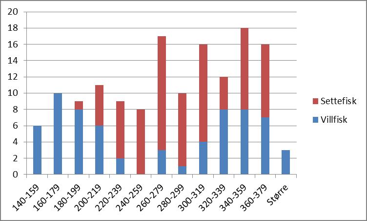 Figur 19: Lengdefordelingen til 145 ørret fordelt på villfisk (66) og utsatt fisk (79) fanget i Olevatnet 20. 22. august 2013.