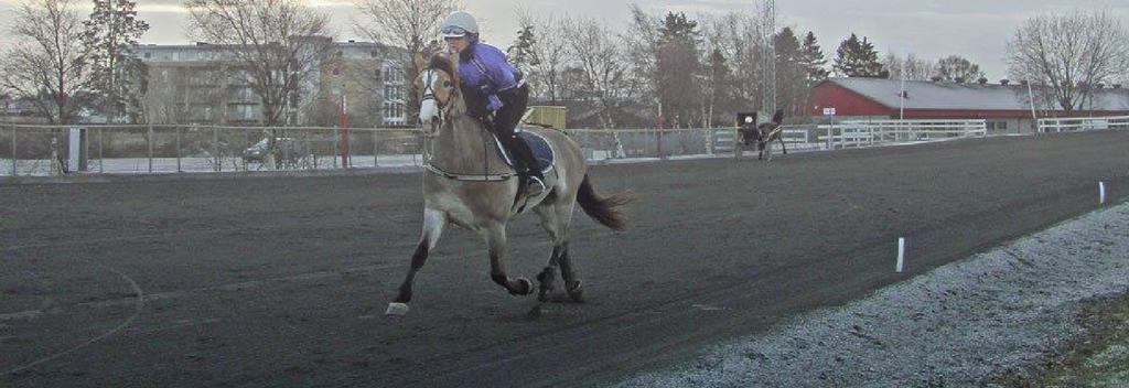 no under reglement Deltager må selv stille med hest og godkjent utstyr. Påmelding sendes til lisakristin.johannessen@rikstoto.