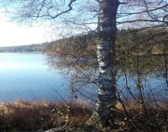 naturen og Haldenvassdraget!