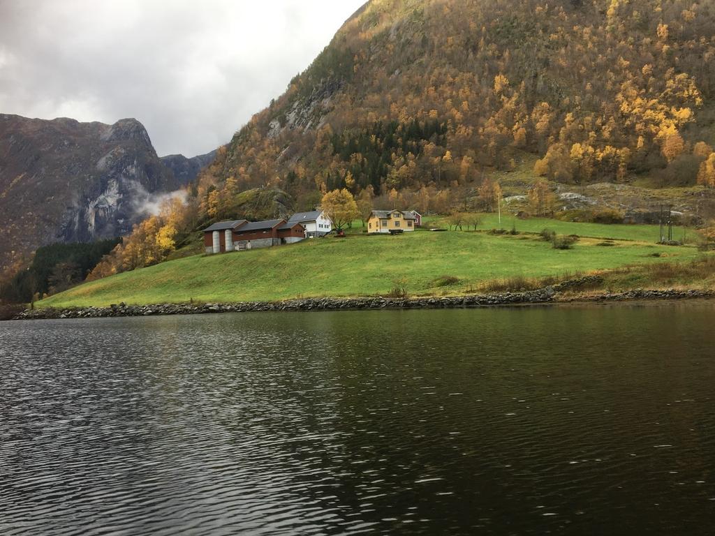 Finden Gard med Storåkrane som skal