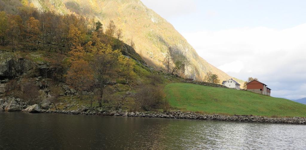 Areal for nydyrking, til venstre for innmarka, ved fjorden.