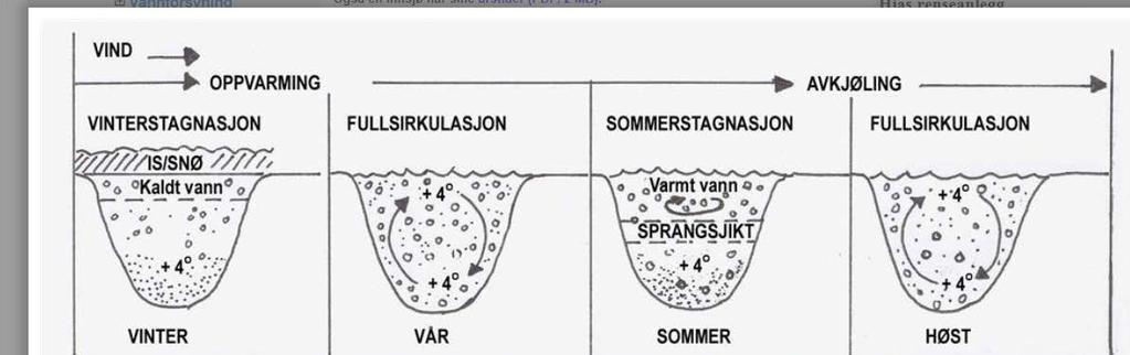 Vertikal profil ved