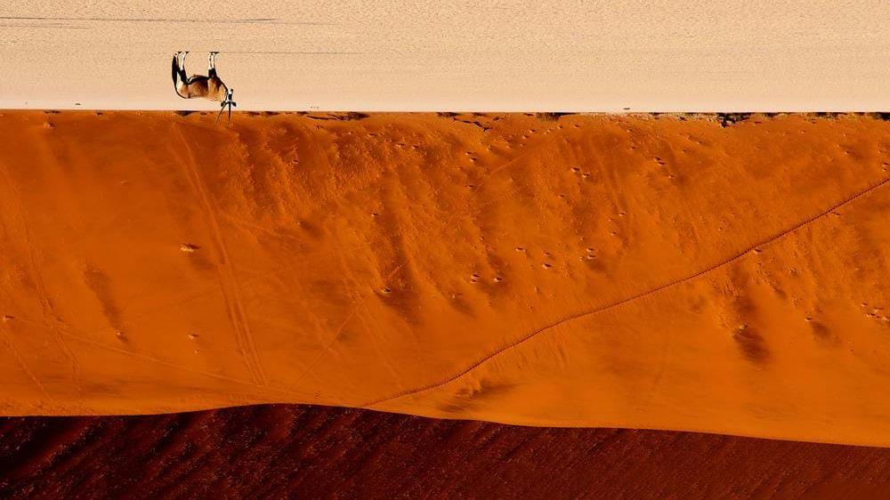 Namibias høydepunkter Bli med BENNS på en spennende reise gjennom Namibia, fylt med unike natur-, safari- og kulturopplevelser.