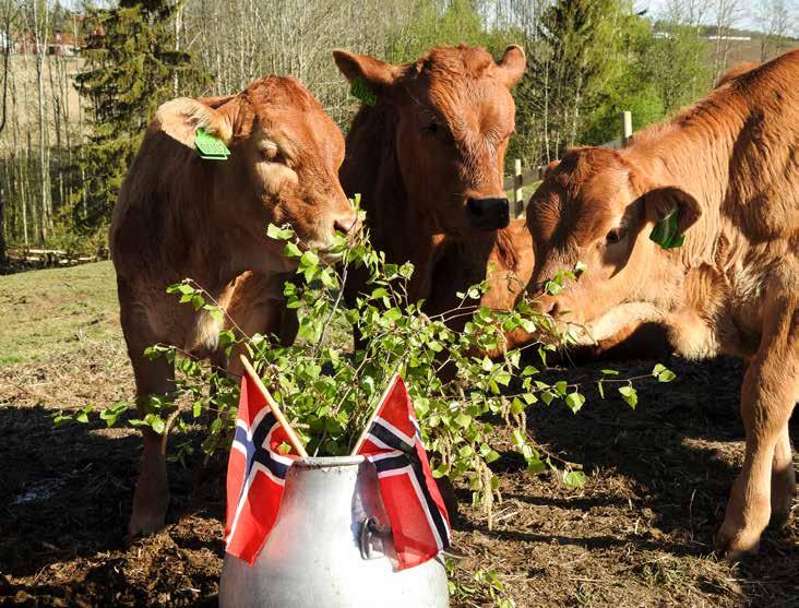 8. Forslag til kontingent for 2020 Årsmøtet vedtok i 2012 at alle medlemmer skal være medlemmer i sitt respektive fylkeslag.