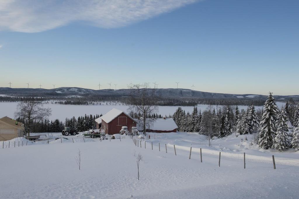 Illustrasjon fra Rysjølia mot Kjølberget (mot sørvest, 5-6 km unna) Austri Vind DA Kjølberget