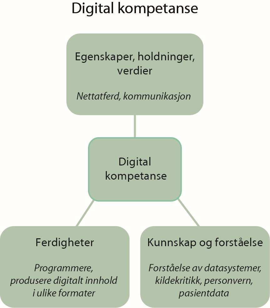 Digital kompetanse innenfor rammeverket