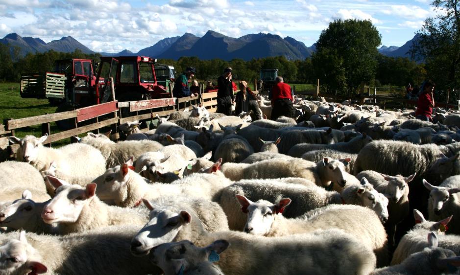 Personer og utstyr - Kåringssjå o.