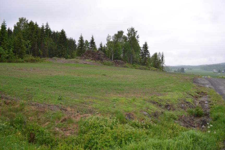 Jordflytting og nydyrking i Trøgstad Sagtomt omgjort til jordbruksareal ved
