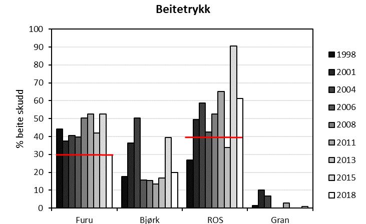 Beitetrykket på furu var for første gang på 20 år på nivå med måltallet for maksimalt beiteuttak av tilveksten som et gjennomsnitt for kommunen.