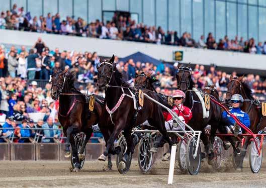 ÅRETS STØRSTE INTERNASJONALE TRAVHELG I NORGE Bordbestilling: JonErik.Kirkeby@rikstoto.no www.bjerke.