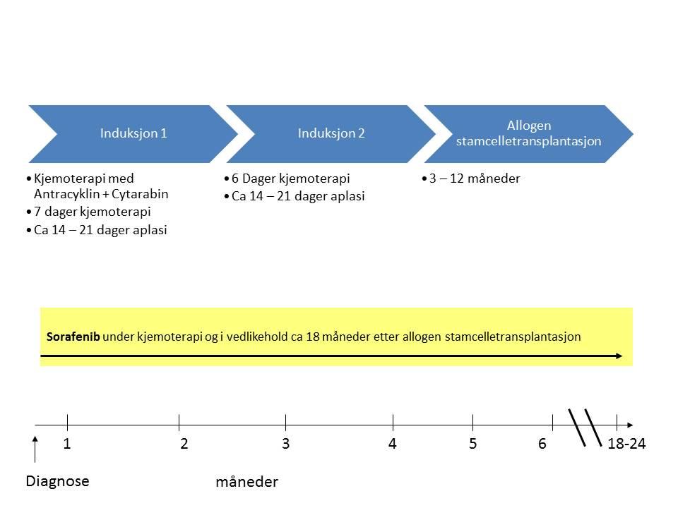 aktuelt med reinduksjon med kjemoterapi og eventuelt også retransplantasjon til en betydelig merkostnad.
