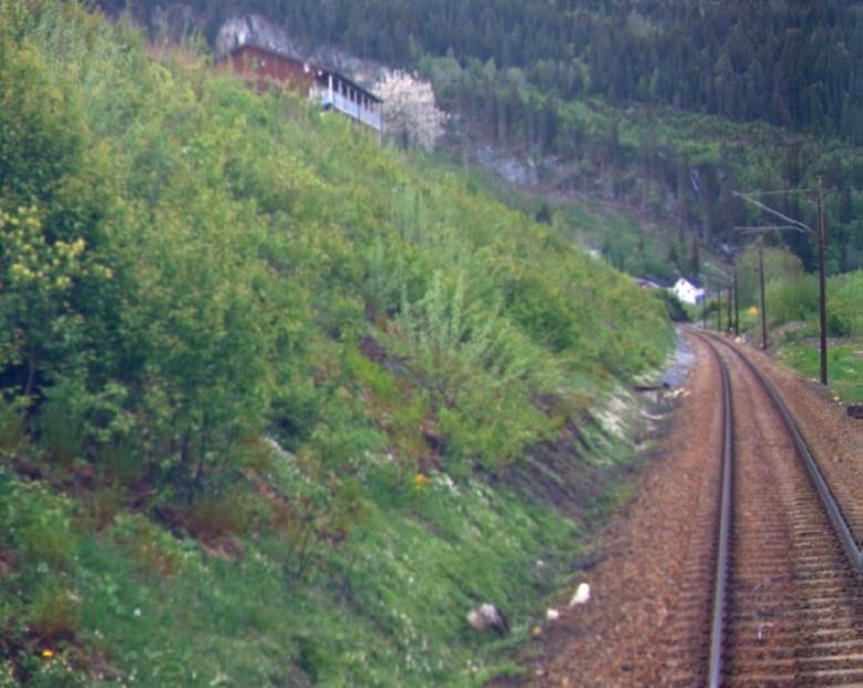 Reguleringsplan for Fredheim sør med Fredheim park Midtre Gauldal Planen omfatter storkjøkken og park sentralt på Støren.